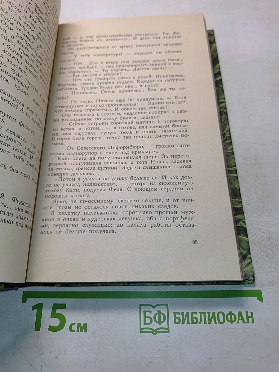 Чайка