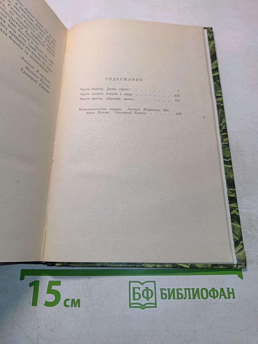 Чайка