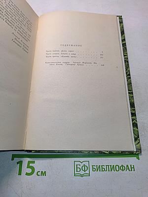Чайка