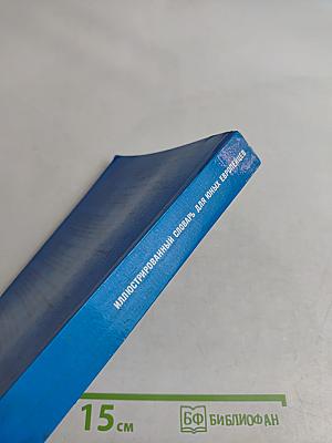 Eurodico Junior. Иллюстрированный словарь для юных европейцев