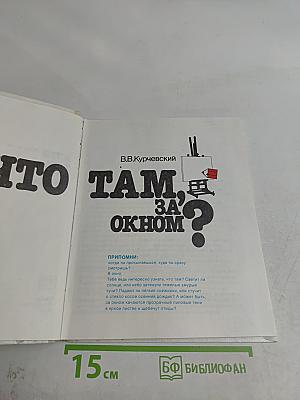 А что там, за окном?