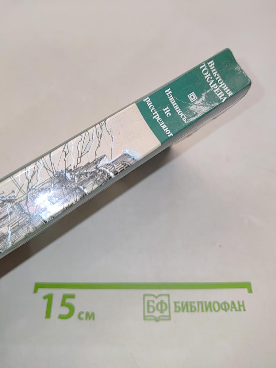 Извинюсь, не расстреляют