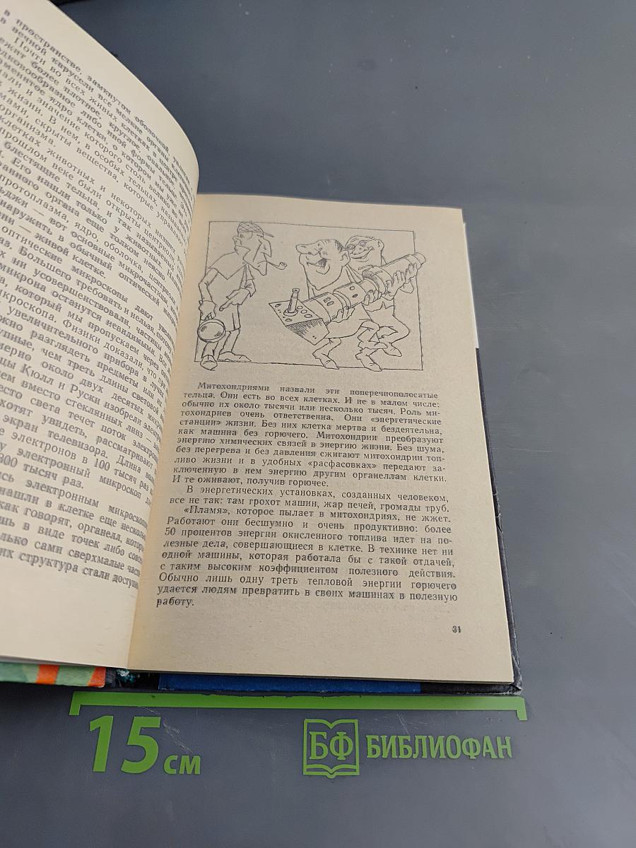 Занимательная биология
