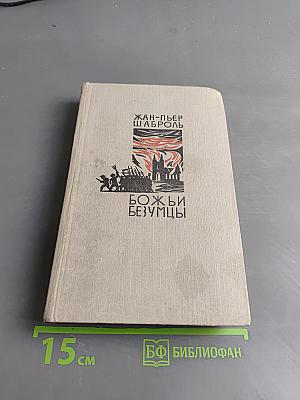 Божьи безумцы