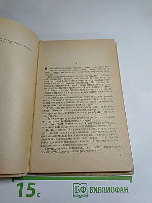 Железный поток