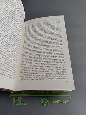 В солдатской шинели