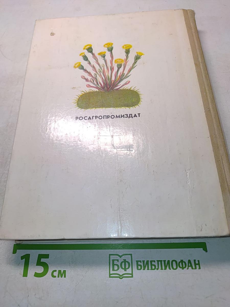 Лекарственные растения в быту