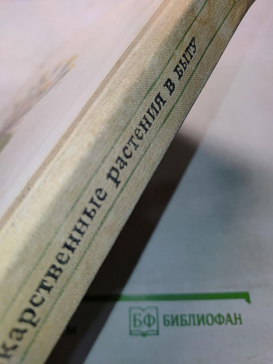 Лекарственные растения в быту