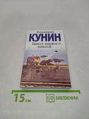 Пилот первого класса. Старшина. Клад