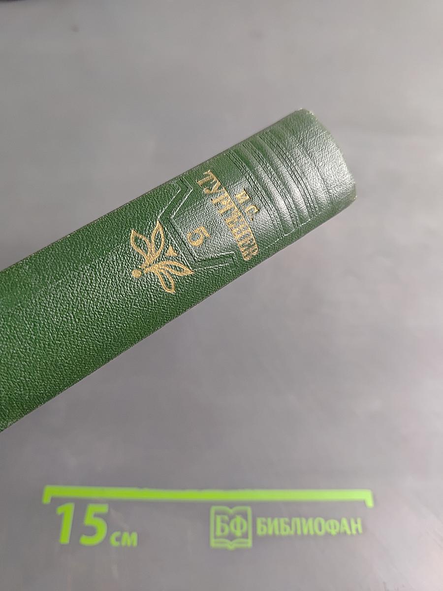 Собрание сочинений. Том пятый. Повести и рассказы 1844-1853 годов
