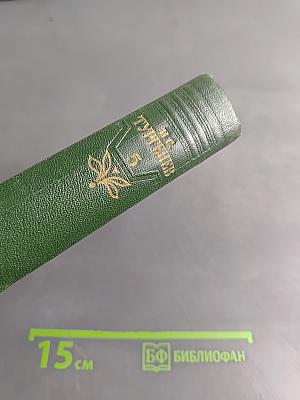 Собрание сочинений. Том пятый. Повести и рассказы 1844-1853 годов