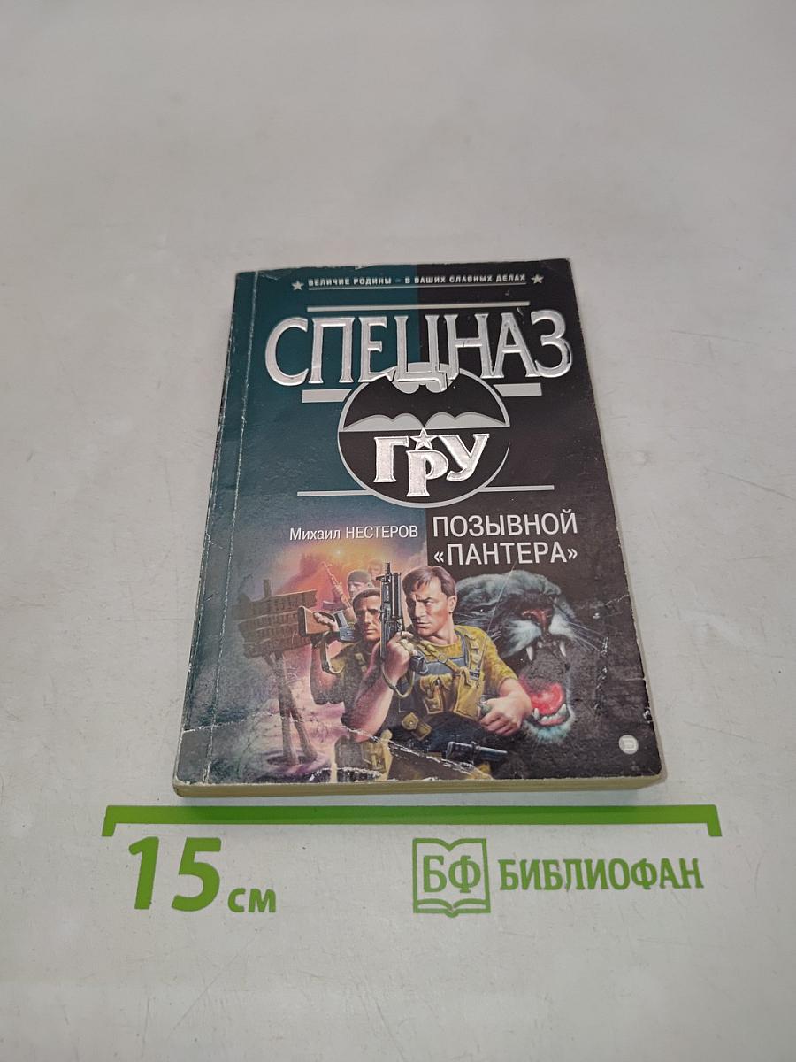 Спецназ ГРУ. Позывной «Пантера»