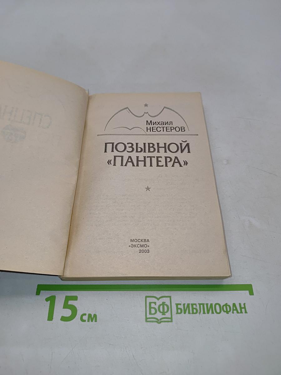 Спецназ ГРУ. Позывной «Пантера»
