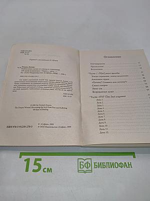Избавляение души от страха и страданий. 100 дней исцеления