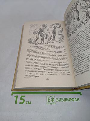 Осколок солнца