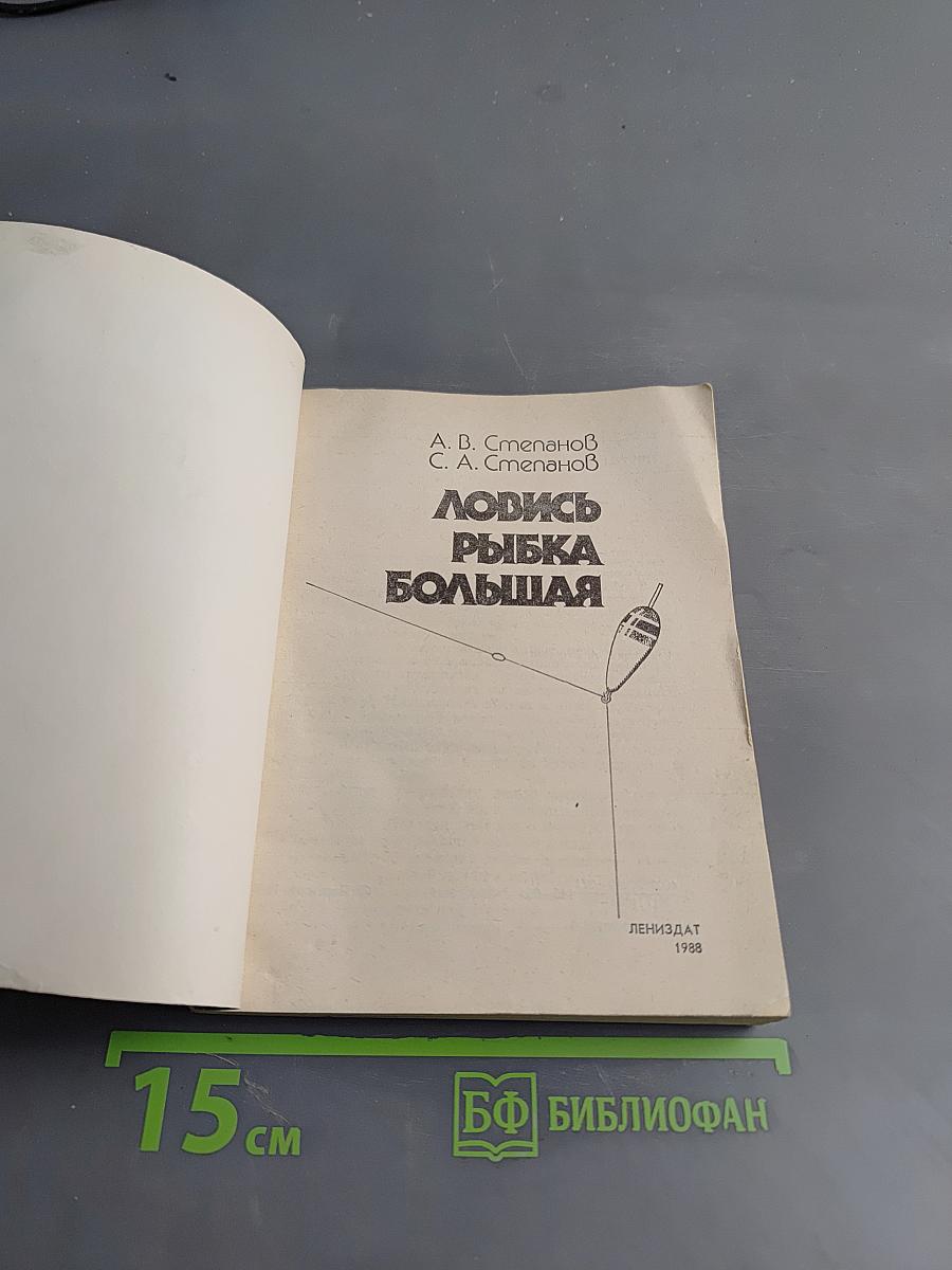 Ловись рыба большая