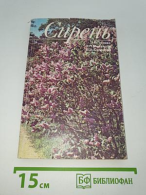 Сирень