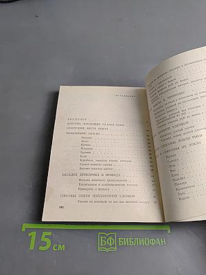Ловись рыба большая