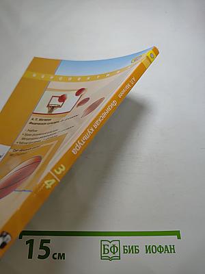 Физическая культура 3-4 классы