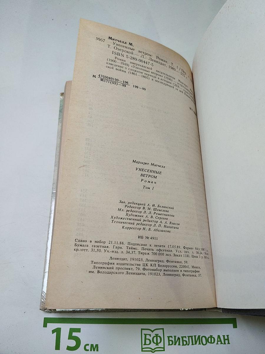 Унесенные ветром. Том 1