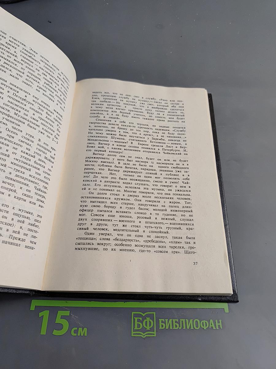Чайковский. История одинокой жизни