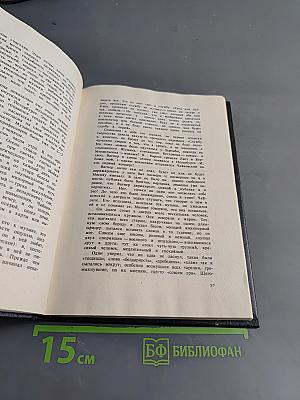 Чайковский. История одинокой жизни