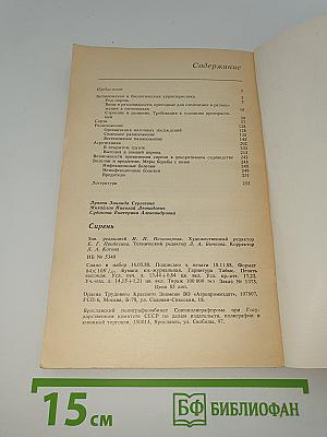 Сирень