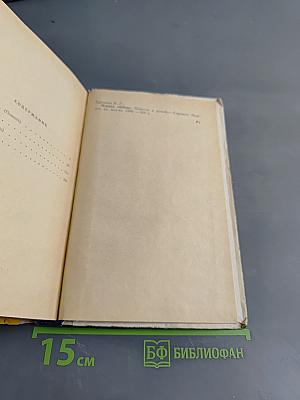 Первая любовь