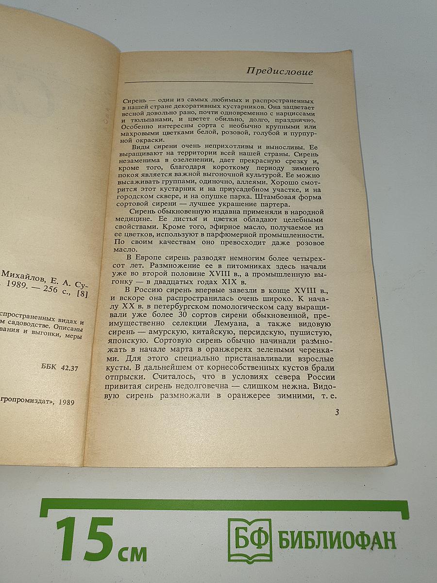 Сирень