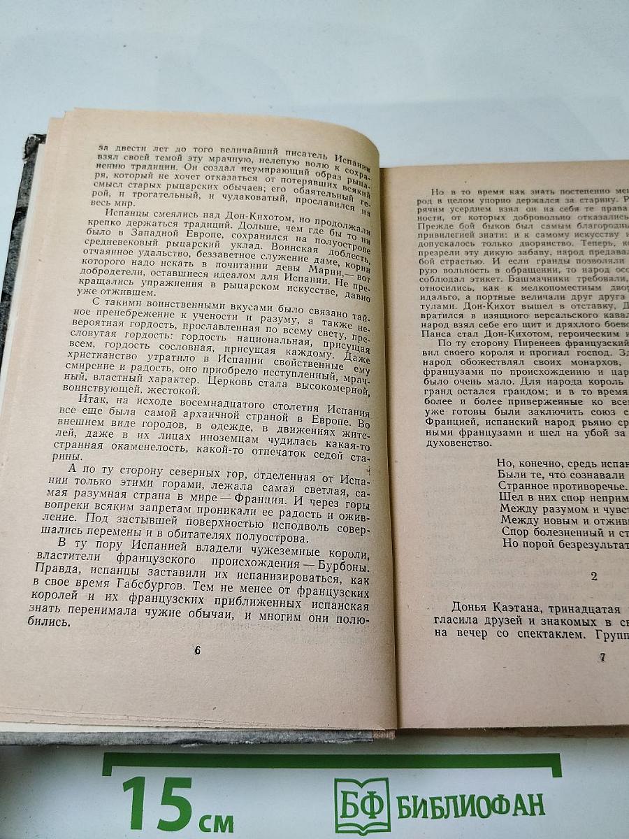 Гойя, или Тяжкий путь познания