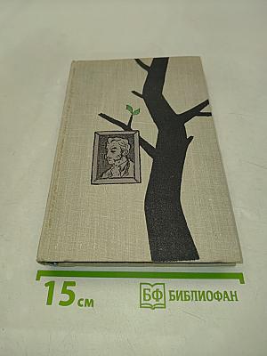 Дон Камурро