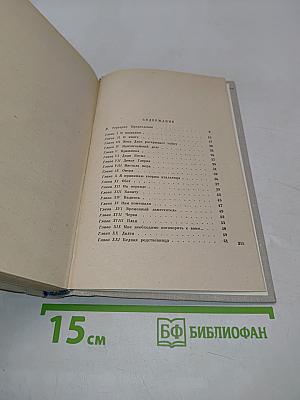 Дон Камурро