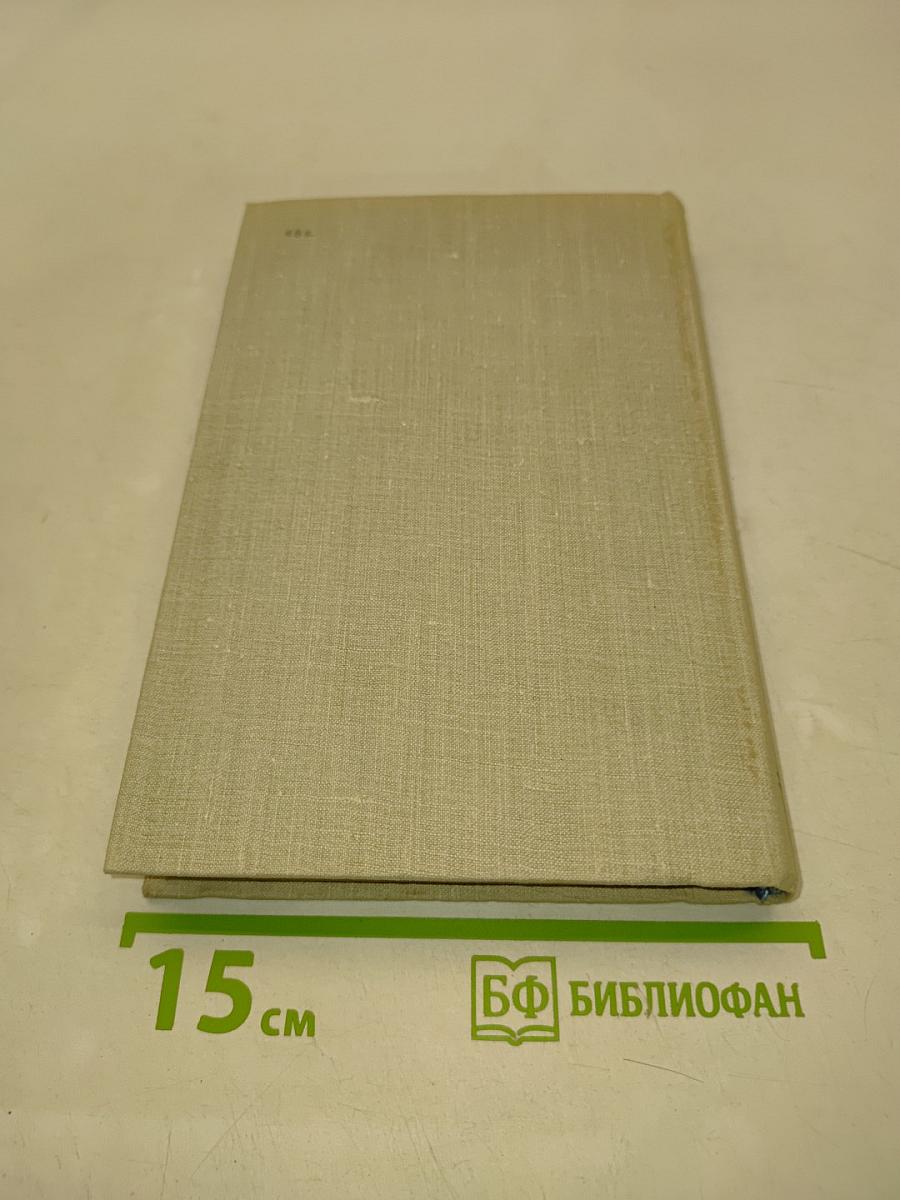 Дон Камурро