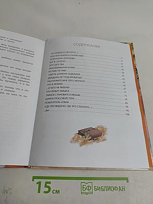 Денискины рассказы