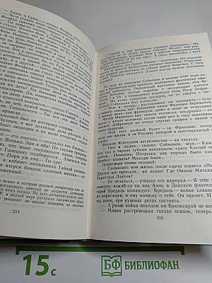 Слово и дело. Роман-хроника времен Анны Иоанновны. Том 2