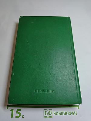 Слово и дело. Роман-хроника времен Анны Иоанновны. Том 2