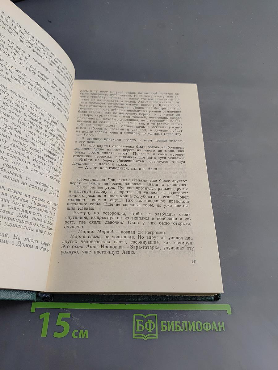 Избранные сочинения. Том первый. Пушкин в изгнании. Книга первая