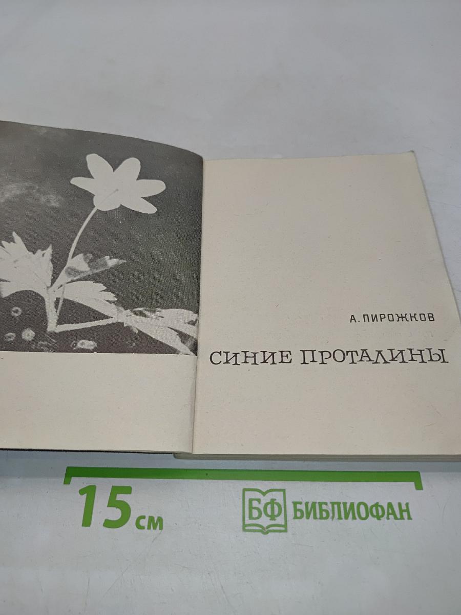 Синие проталины