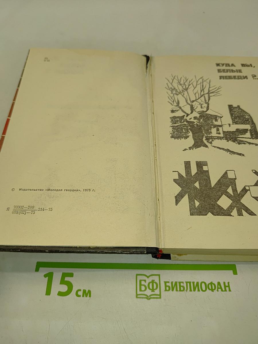 Жеребенок с колокольчиком
