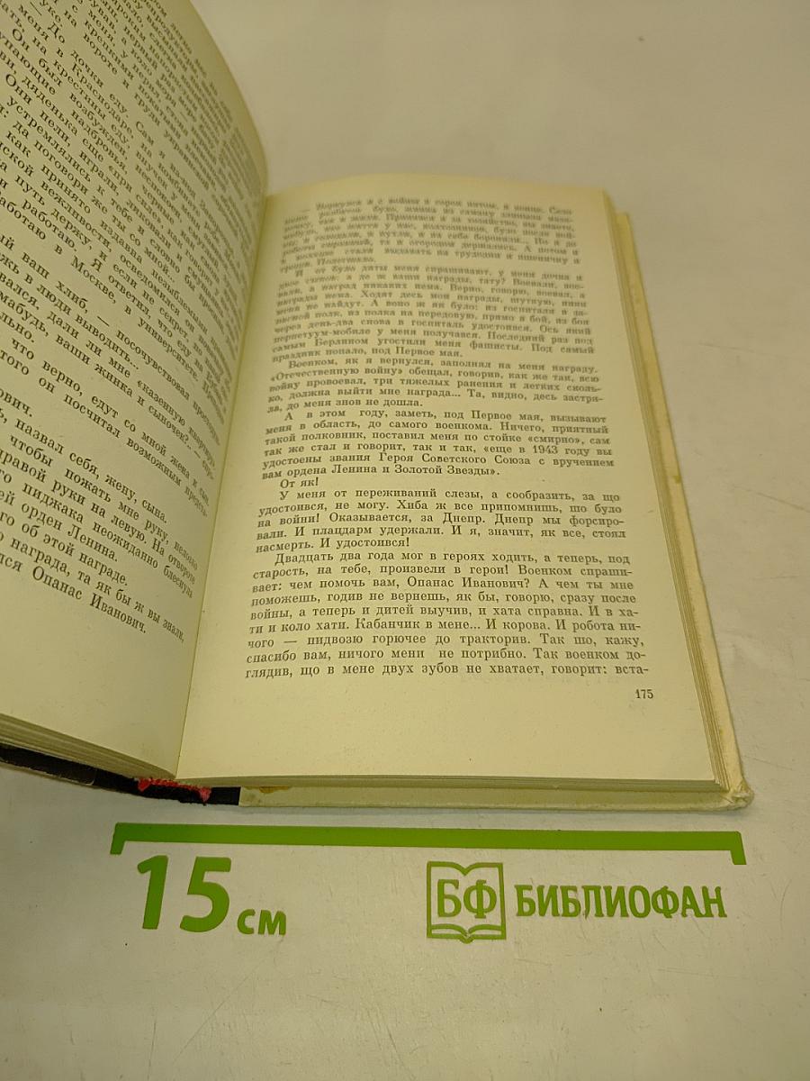 Жеребенок с колокольчиком