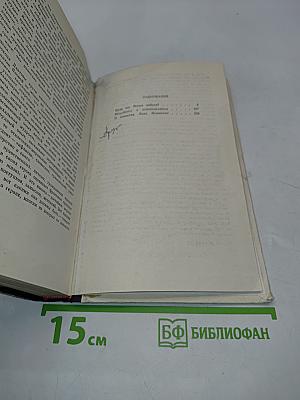 Жеребенок с колокольчиком