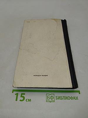 Жеребенок с колокольчиком
