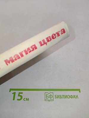 Магия цвета