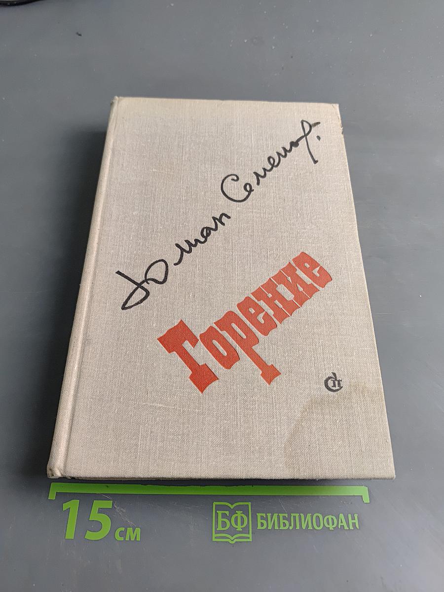 Горение. Роман-хроника