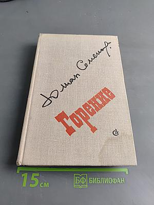 Горение. Роман-хроника