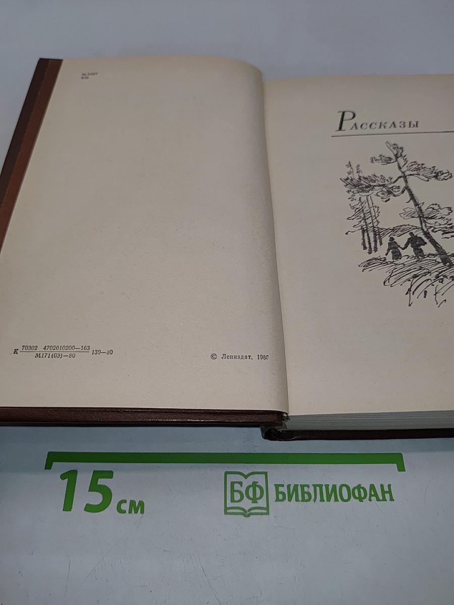 Последний день года. Рассказы. Повести