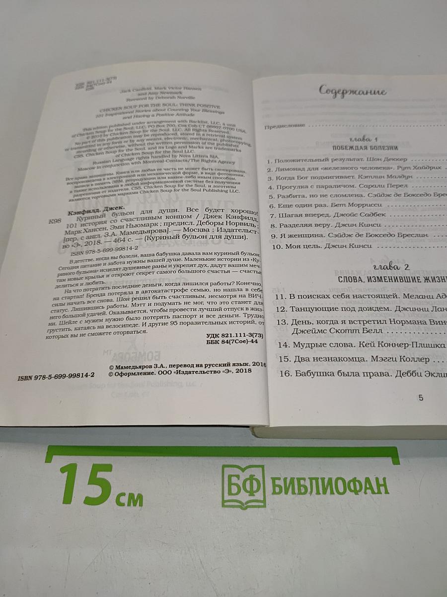 Куриный бульон для души. Все будет хорошо!