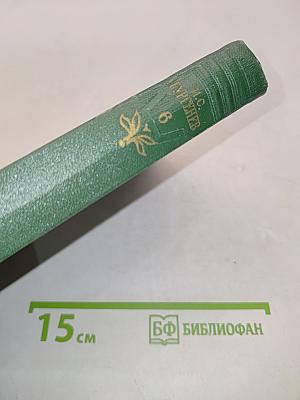 Собрание сочинений в шести томах. Том шестой. Повести и рассказы 1854-1860 годов