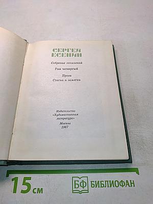 Собрание сочинений. Том четвертый. Проза. Статьи и заметки