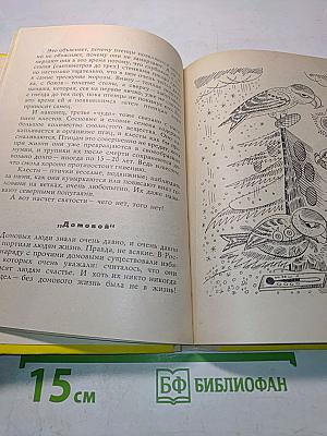 Чему верить, что проверить